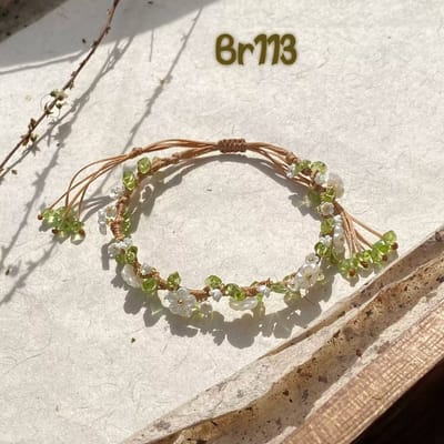 Br113_img_0