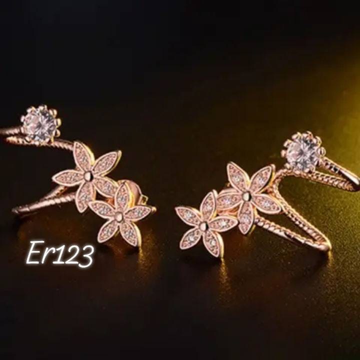 Er123-B