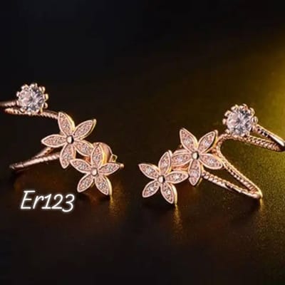 Er123-B_img_0