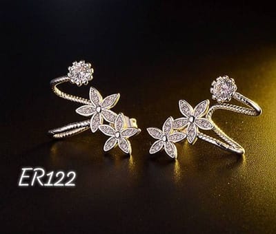 Er122-B_img_0